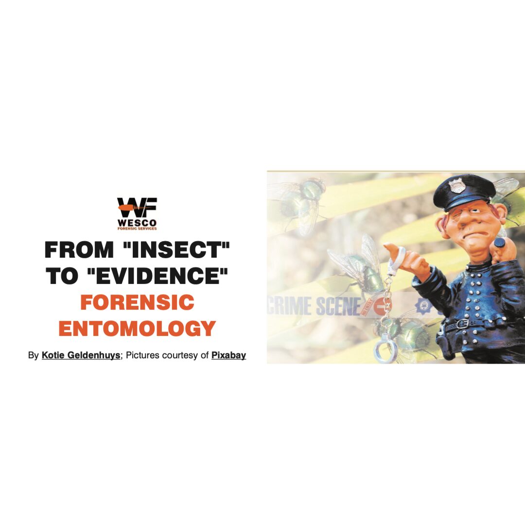 From Insect to Evidence – Forensic Entomology